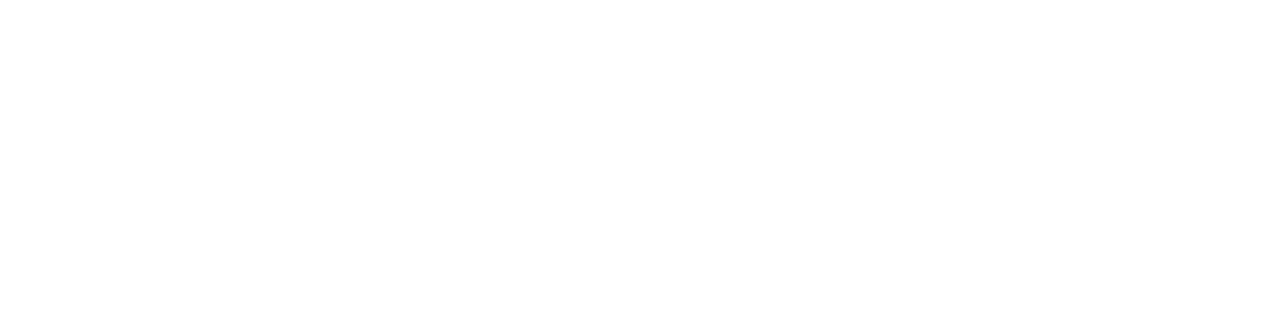 Nubrix Security
